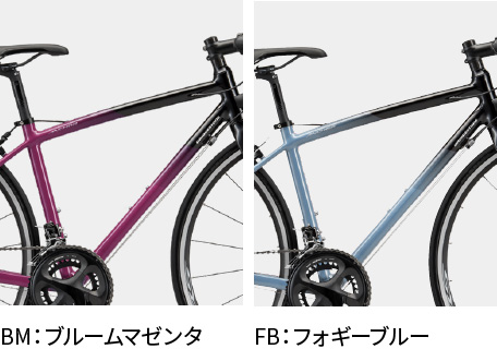 全2色の中から選べます。