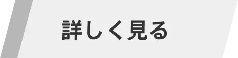 詳しく見る