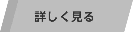 詳しく見る