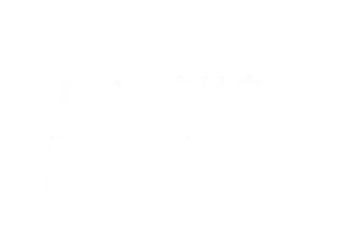 買い物向け自転車 乗りやすいから、毎日乗りたくなる。